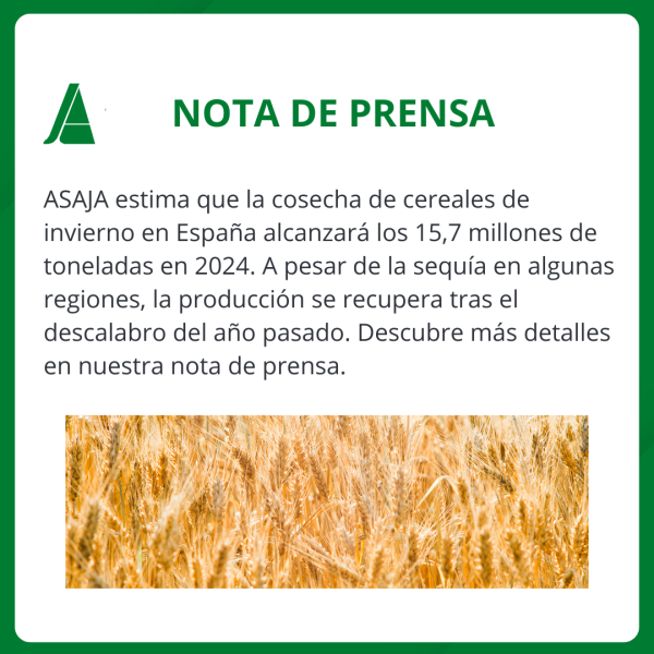 Estimación de Cosecha de Cereales en España: ASAJA Prevée 15,7 Millones de Toneladas