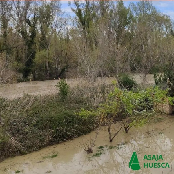 Se reclama la limpieza de los ríos para evitar daños en las explotaciones agrícolas