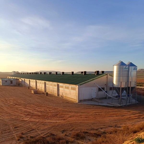 El Tribunal Supremo anula la imposición del MAPA de reducir la densidad en el porcino