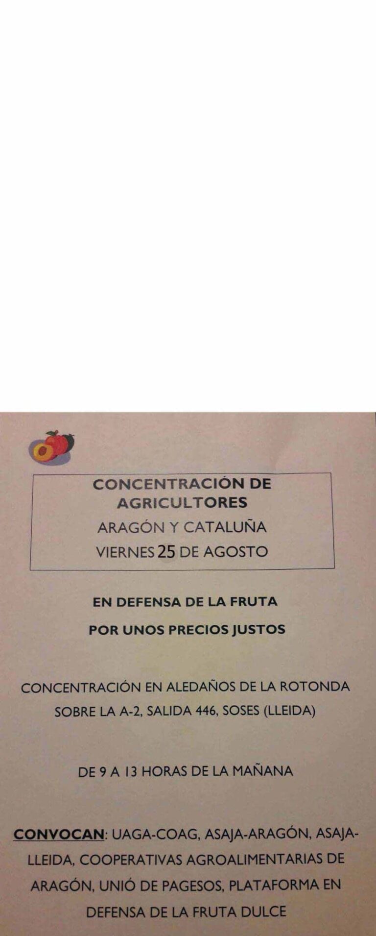 72-es-Concentracion_fruta_3