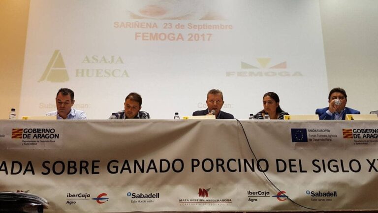 65-es-Femoga_2017