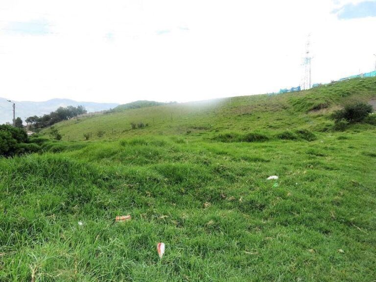 29-es-pastos_1