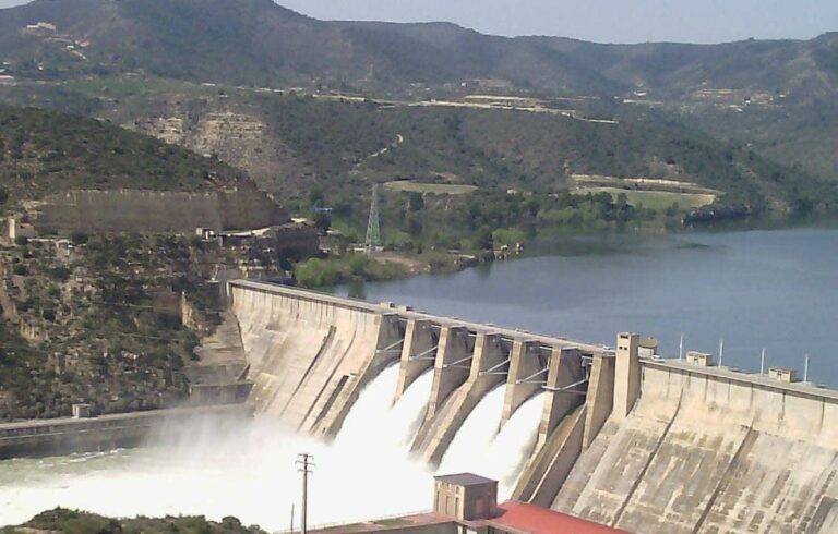 19-es-Pantano