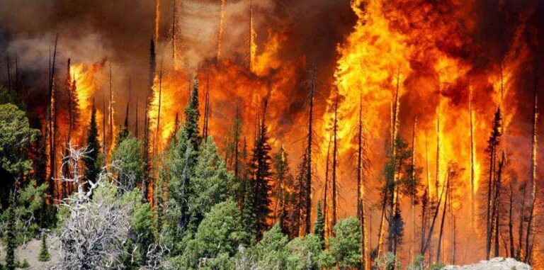 3-es-Incendio