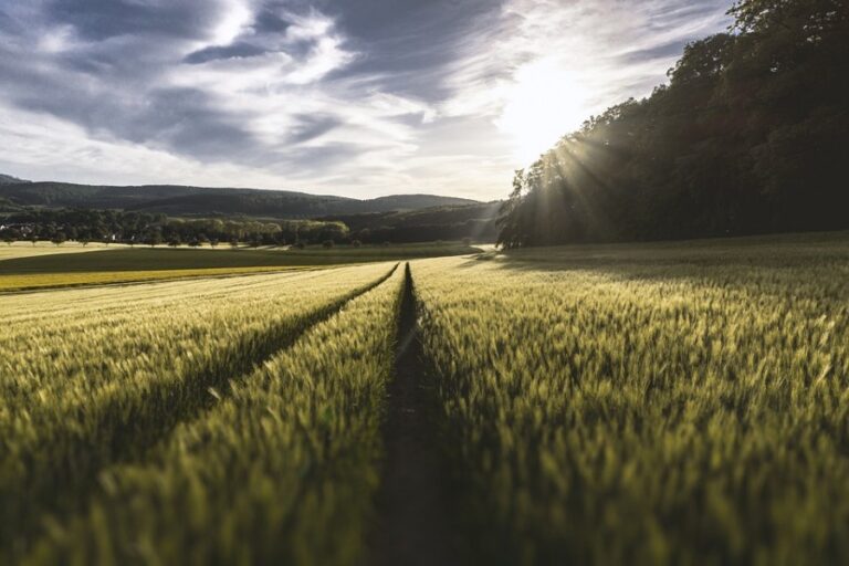 1430-es-convivir-con-la-contaminacion-virtual-el-nuevo-reto-del-sector-agricola