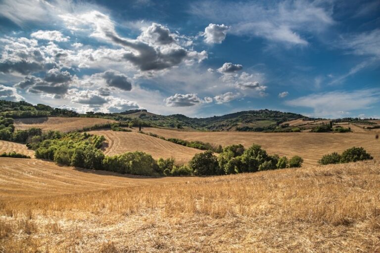 1450-es-noticiascurso-sobre-biomasa-de-podas-agricolas-id1450clon-1438