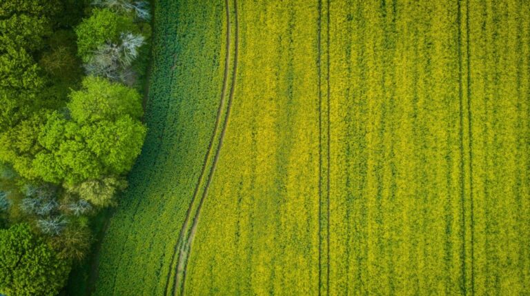 1460-es-noticiastiempo-de-elecciones-poesia-rural-y-cuentos-urbanos