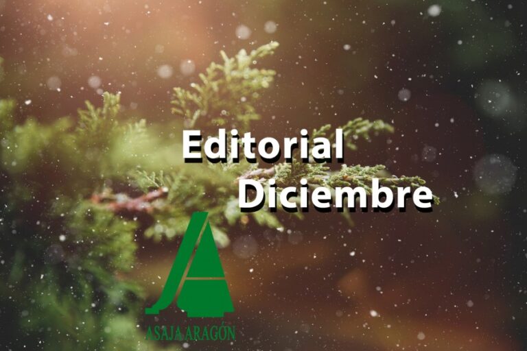 1518-es-noticiaseditorial-diciembre-el-cambio-climatico-en-navidad
