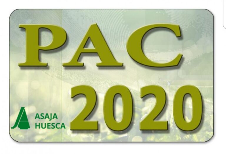 1539-es-pac-2020