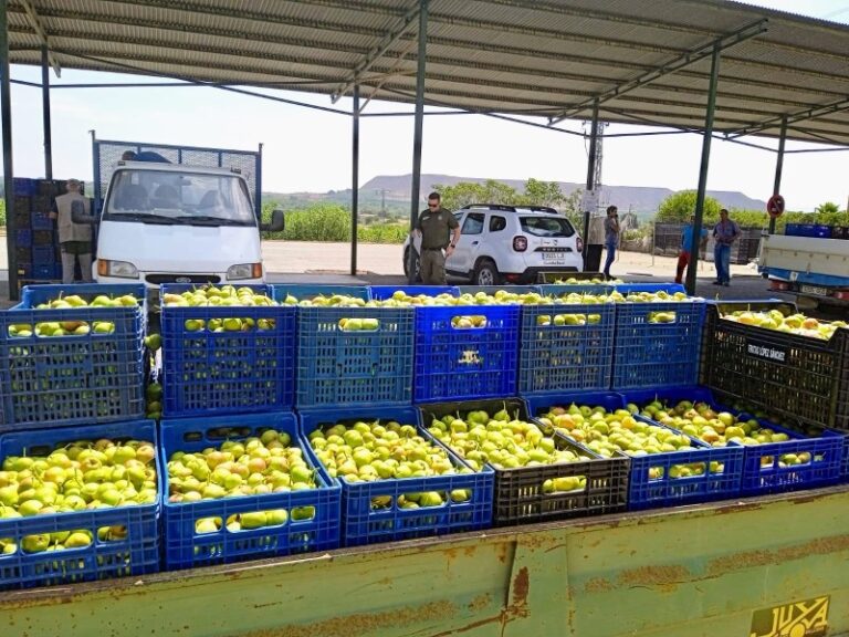1866-es-asaja-aragon-desde-bruselas-abogara-por-el-consumo-de-fruta-de-proximidad-en-las-escuelas