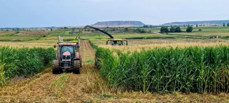 1903-es-exigimos-a-hacienda-y-agricultura-que-publiquen-ya-la-reduccion-de-modulos-del-irpf