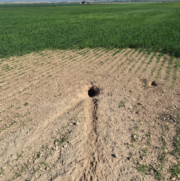 1905-es-la-reduccion-de-modulos-del-irpf-es-insuficiente-para-el-campo